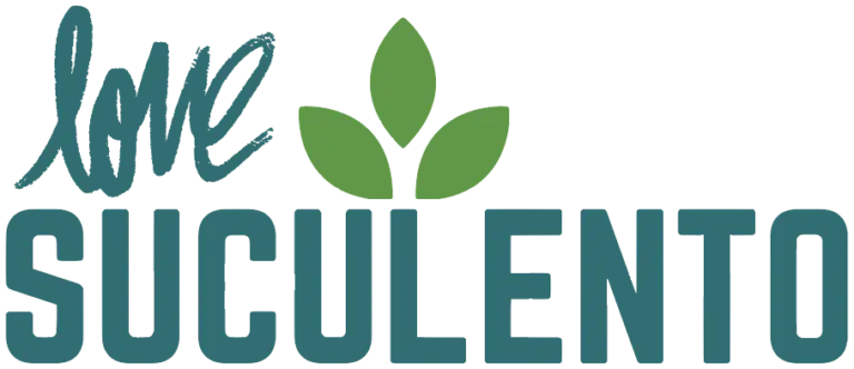 Love Suculento